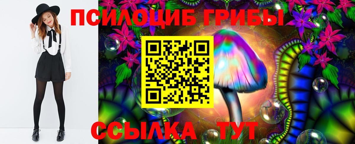 Галлюциногенные грибы прущие грибы Свободный