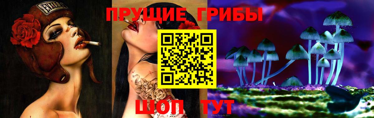 Псилоцибиновые грибы MAGIC MUSHROOMS  Вход с VPN  Свободный 